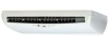 Daikin FLQN100EXV/RQ100DXY